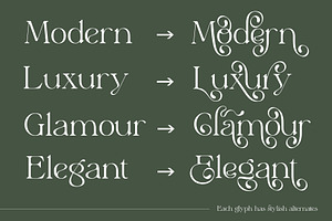 Elyaris Stylish Serif