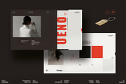 UENO / Brand Guidelines, a Presentation Template by Studio Elevate (Thumbnail 1 of 11)