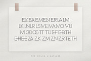 The Melsa - Modern Ligature Sans, a Sans Serif Font by Graphicfresh (Thumbnail 5 of 11)