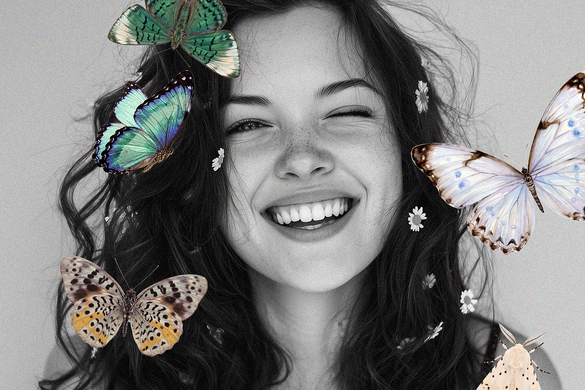 Butterflies Collection, an Object Graphic by Lana Elanor (Photo 7 of 11)