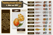 Authentic WATERCOLOR BRUSHES by Seo, a Brushes & More by Illustration by Seo (Thumbnail 11 of 33)