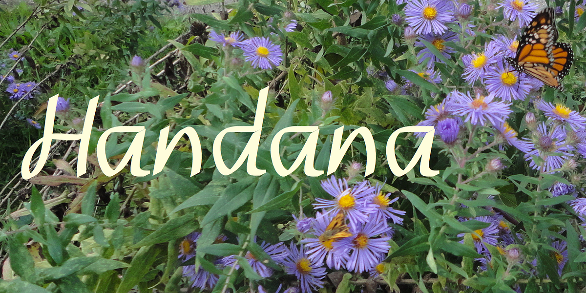 Handana, a Handwritten Font by Ingrimayne Type (Photo 1 of 9)