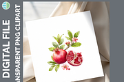 Fruit Illustration Bundle, 20 PNG, a Decorative Illustration by Enliven Designs (Thumbnail 8 of 8)