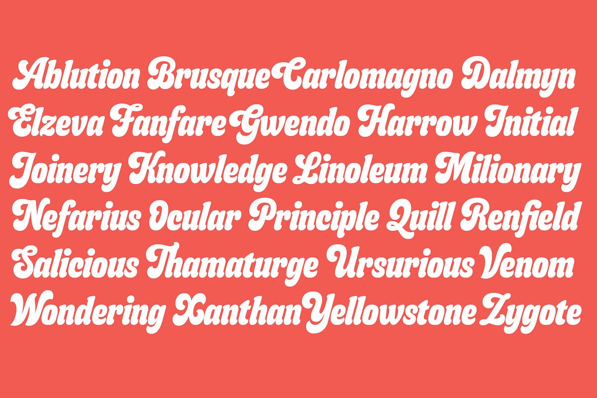 Budge, a Sans Serif Font by Flavortype (Photo 9 of 20)