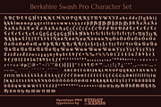 Berkshire Pro Family, a Font by Stiggy & Sands (Thumbnail 9 of 9)