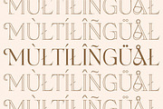 Vanemo Modern Serif Typeface, a Font by Shiningtown Creative (Thumbnail 14 of 15)