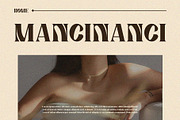 ManciNanci - Serif Font, a Serif Font by Boril Std (Thumbnail 7 of 12)