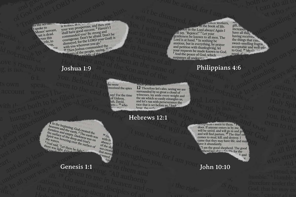 20 Ripped Bible Verse Assets, an Object Graphic by Greater Worth (Photo 5 of 9)