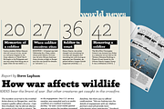 Anaphora - 22 Fonts, a Serif Font by Zetafonts (Thumbnail 6 of 11)