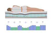 Orthopedic Mattress Vector Set, a Healthcare Illustration by Zonda (Thumbnail 7 of 14)