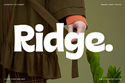 Rigalé – Playful & Bold Sans Serif, a Sans Serif Font by SilverStag Type Foundry (Thumbnail 14 of 20)