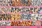 watercolor dog breeds bundle, an Animal Illustration by TanuschArts (Thumbnail 6 of 7)