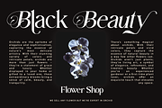 Fastelar - Luxury Branding Font, a Serif Font by Say Studio (Thumbnail 11 of 13)