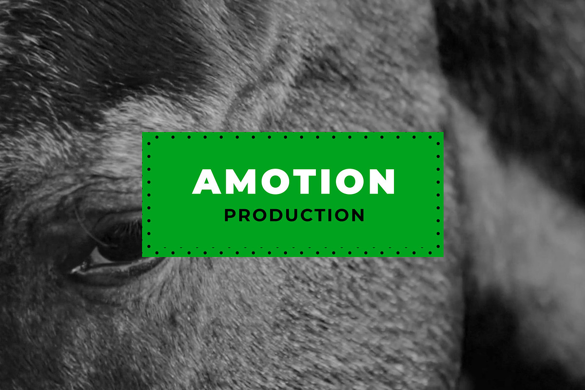 ANIMATED Titles Modern (Premiere), a Presentation Template by Atamotion (Photo 3 of 9)