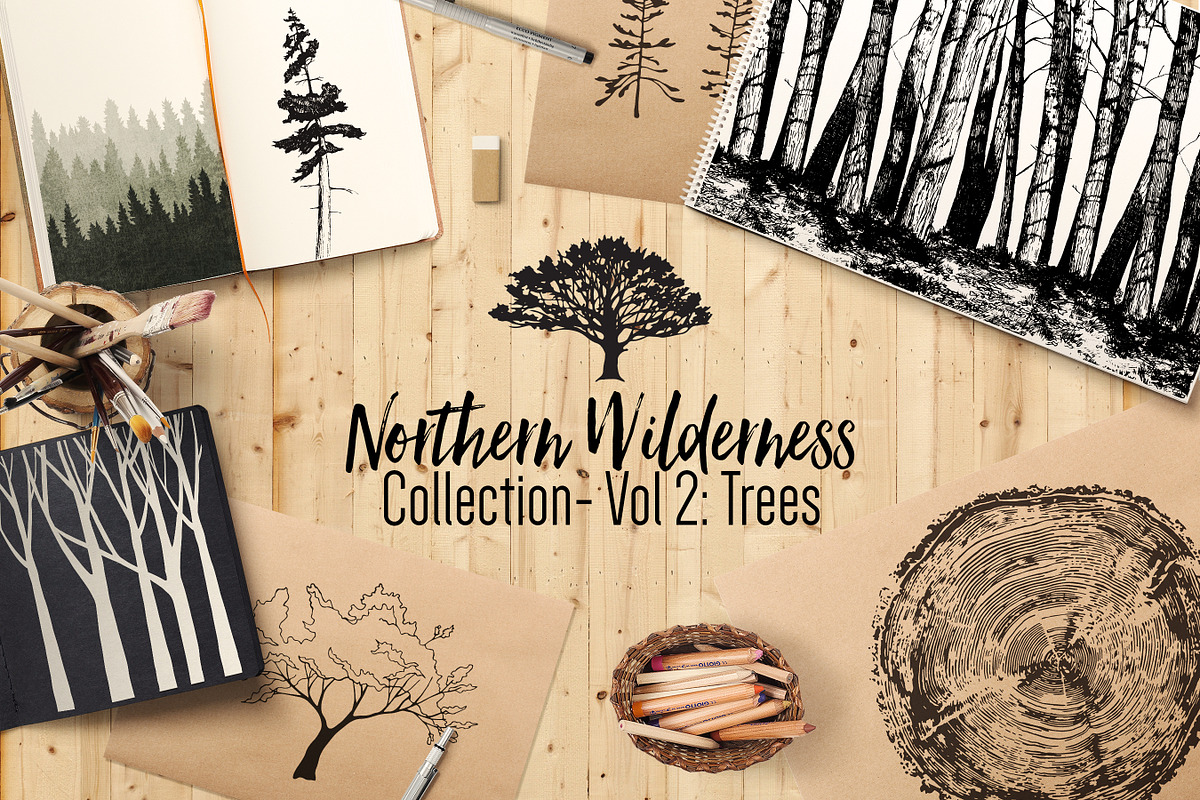 Northern Wilderness Collection: Tree, an Illustration by Barn Owl Studio (Photo 1 of 6)
