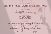 Christin | Wedding Script Font, a Script Font by Suntype | Sunshine Std (Thumbnail 2 of 9)