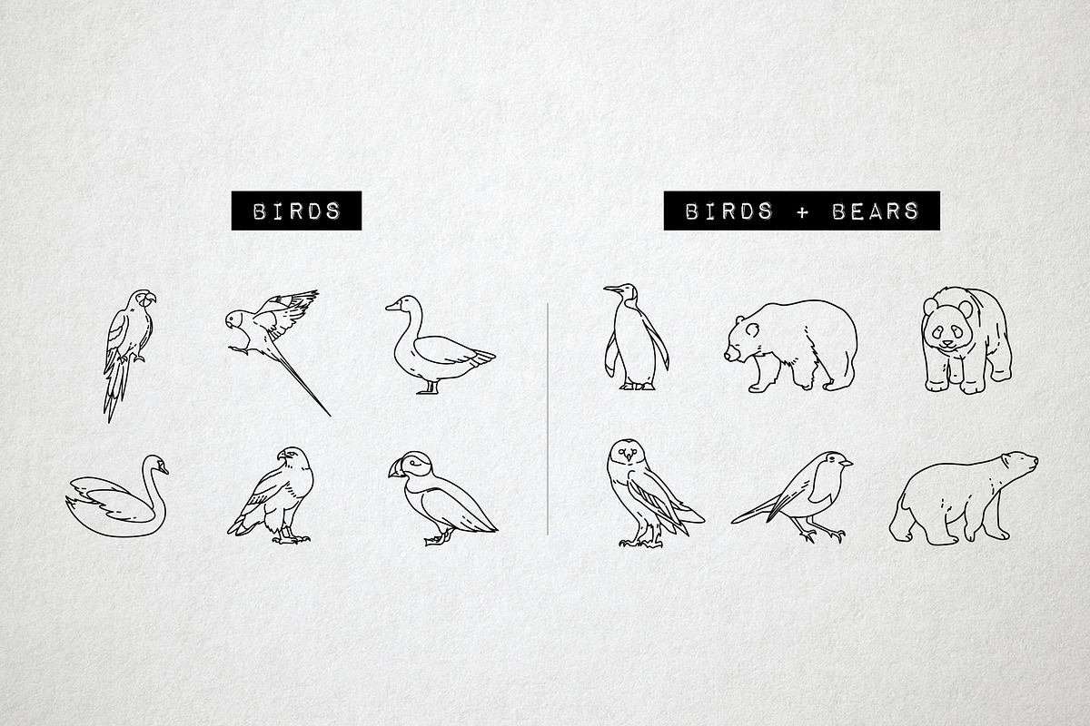 Wild Animal Icons Pack, an Outline Icon by Hatch Design Workshop (Photo 3 of 10)