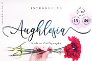 The 15 in 1 Wonderful Font Bundle, a Script Font by Aldedesign (Thumbnail 2 of 36)