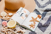 Seagulls Clipart Set, an Animal Illustration by Leonaa art (Thumbnail 4 of 10)