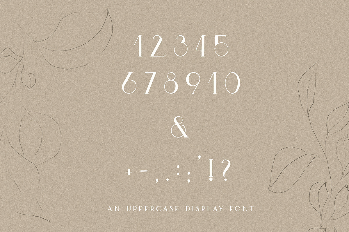 Wild Rye Hand Lettered Display Font, a Serif Font by Laras Wonderland (Photo 13 of 15)