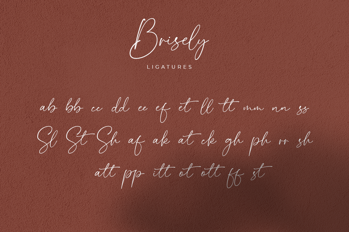 Brisely, a Script Font by Suby Studio (Photo 5 of 7)