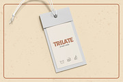 Trilate - Handdrawn Font + EXTRAS, a Sans Serif Font by Fikry Alfatih (Thumbnail 9 of 11)