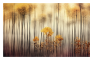 Dofo Co - Vintage Tropical Forests, a Decorative Illustration by milatovar (Thumbnail 20 of 20)
