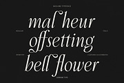 Aveline, Soft Serif with Ligatures, a Serif Font by CarmineType (Thumbnail 16 of 28)