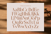 Rosse Merona Modern Serif Font, a Serif Font by timelesstype.co (Thumbnail 5 of 20)