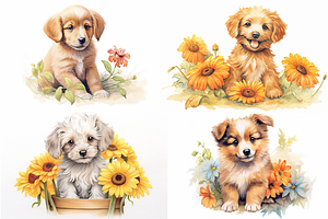 Summer Flower And Cute Puppies