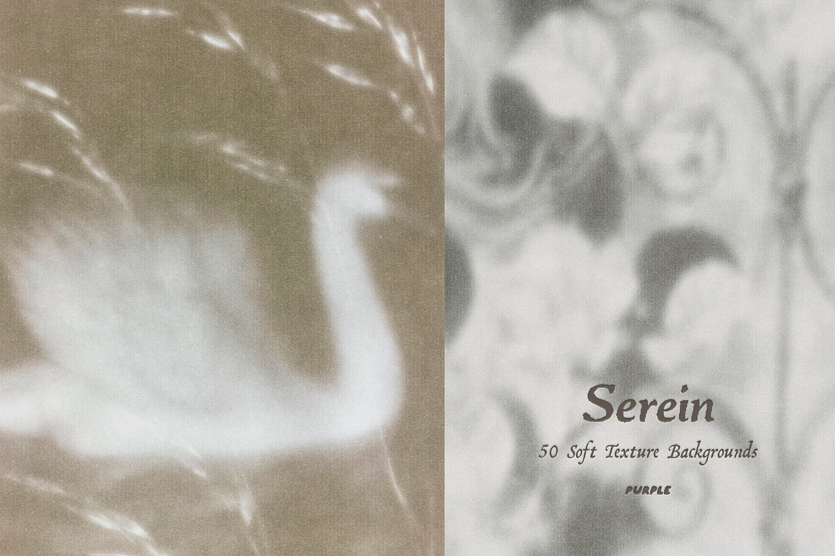 Serein: Fine Art Texture Backgrounds, a Background Graphic by Purple (Photo 3 of 10)
