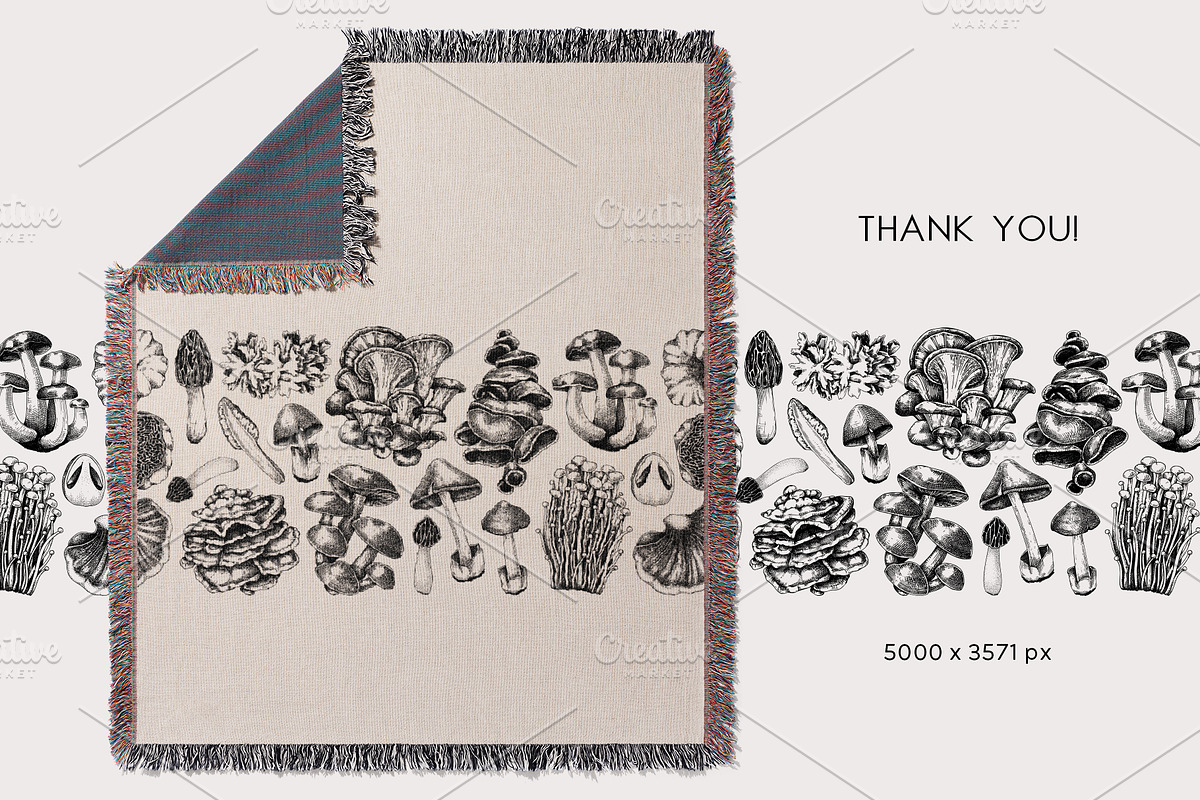 Mushrooms Vector Illustration Set, an Object Illustration by Yevheniia (Photo 14 of 14)
