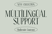 Moelina - A Modern Serif Font, a Serif Font by Marvadesign (Thumbnail 4 of 8)