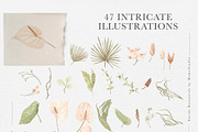 Earthy Botanicals Florals & Leaves, a Decorative Illustration by Momo Studio (Thumbnail 6 of 12)