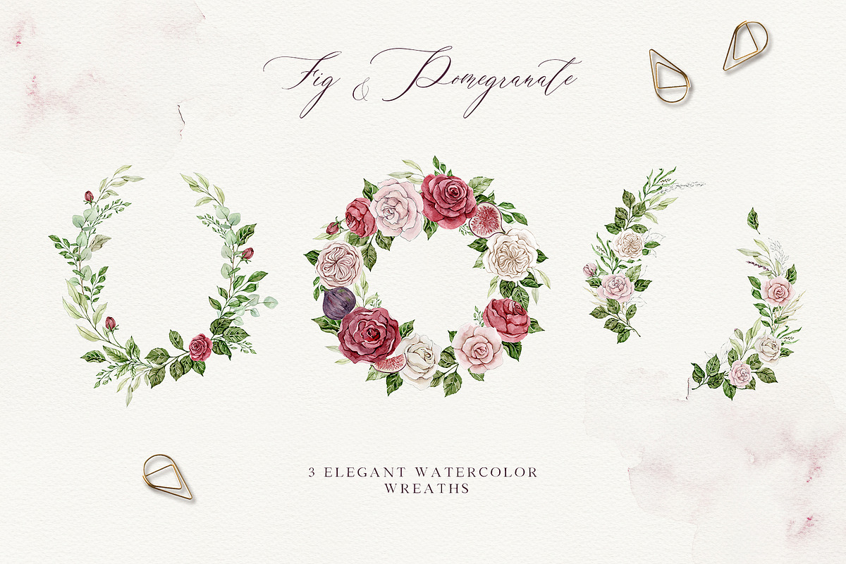 FIG & POMEGRANATE watercolor/pencil, a Decorative Illustration by long summer (Photo 10 of 14)
