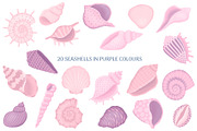 Seashells Collection, an Object Illustration by yarynabo (Thumbnail 3 of 14)