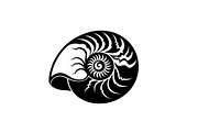 Shell Silhouette Vector Bundle, an Illustration by hafijul (Thumbnail 8 of 48)