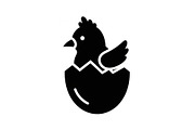 Cute Easter Chick Hatch Vector Bundl, an Illustration by jahid234 (Thumbnail 7 of 51)