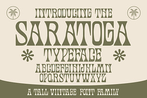 Saratoga Typeface | Groovy Font