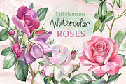 Watercolor roses, an Illustration by My art shop (Thumbnail 1 of 2)
