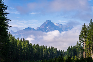 Whitehorse Mountain seen through