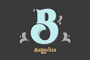 The Bodbug Typeface, a Serif Font by Khoir (Thumbnail 2 of 13)