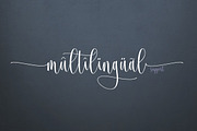 Josephira Fancy Script Font, a Script Font by Byuly Ayika (Thumbnail 13 of 14)