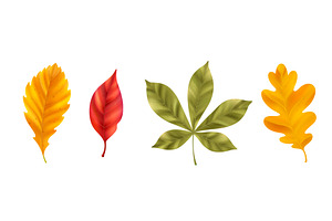 Detailed realistic autumn leaves, an Object Illustration by art PVP - market