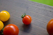Garden Still Life Photos ETARA, a Nature Photo by ETARA by Mea Hau (Thumbnail 3 of 8)