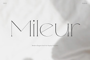 Mileur - Modern Elegant Serif, a Serif Font by Craft Supply Co. (Thumbnail 1 of 8)