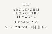 Lamoric Rowen Font, a Serif Font by HansCo Studio (Thumbnail 8 of 10)