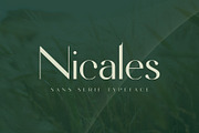 Nicales Typeface, a Sans Serif Font by Nowpe Studio (Thumbnail 1 of 6)