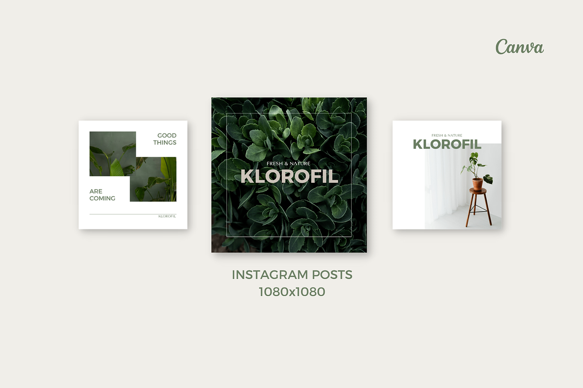 Sage Green Canva Template, a Social Media Template by Moodwave Studio (Photo 7 of 10)
