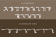 Arohmany a modern arabic font, a Blackletter Font by Javatype Studio (Thumbnail 6 of 8)